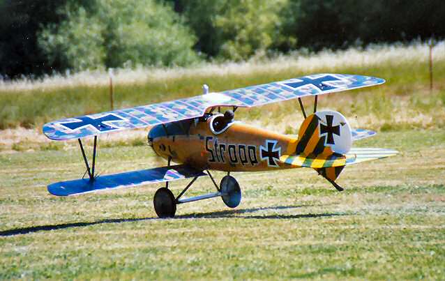 [Image: albatros4-w.jpg]