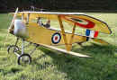 Proctor Enterprises Nieuport 11 built by Colin Watters