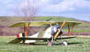 Proctor Enterprises Nieuport 11 built by Jeff Lovitt of Davis, CA  (Powered by O.S. 70 engine)